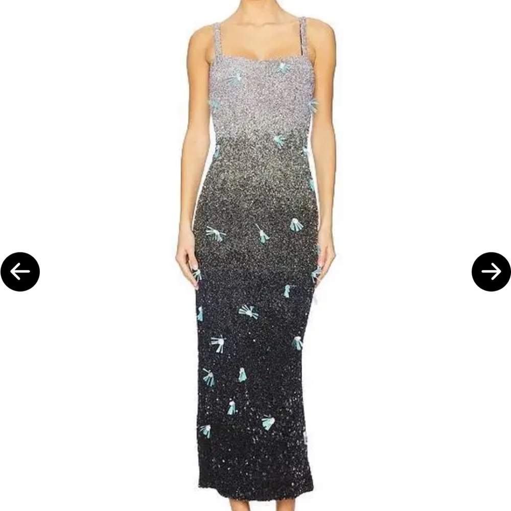 NWT Ravens Wing Beaded Dress
